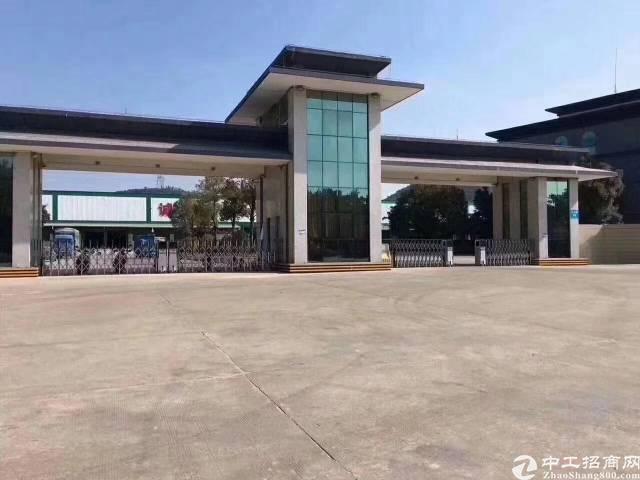 东莞市最新物流仓库23000平方带丙二类消防