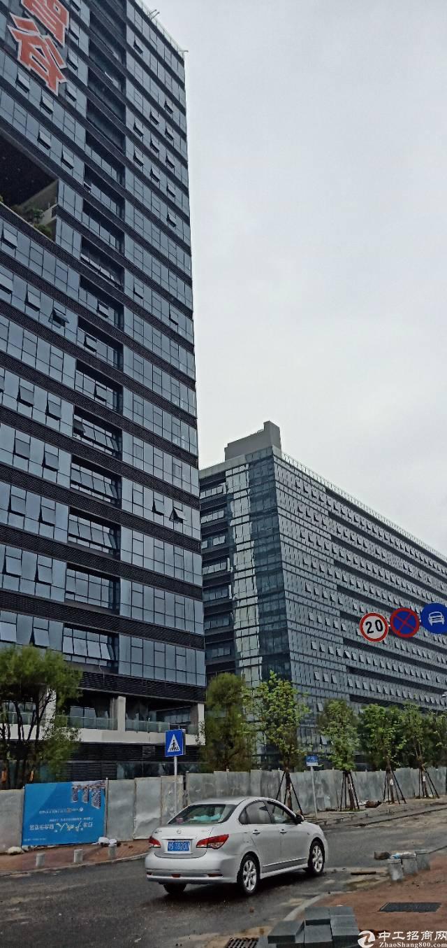 大朗新出刚建好办公楼