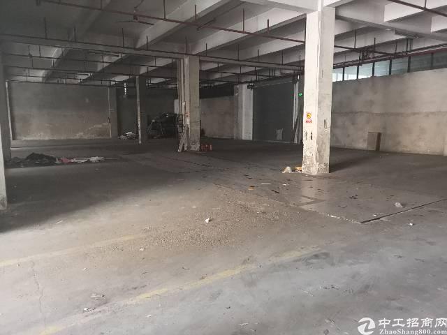 清湖科技园一楼带卸货平台仓库出租