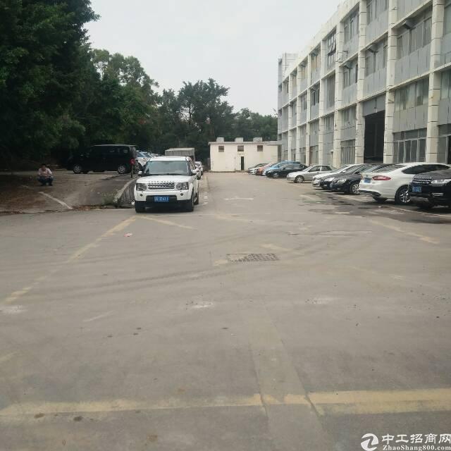 大运 地铁附近楼上1000平办公 电商 大小分租