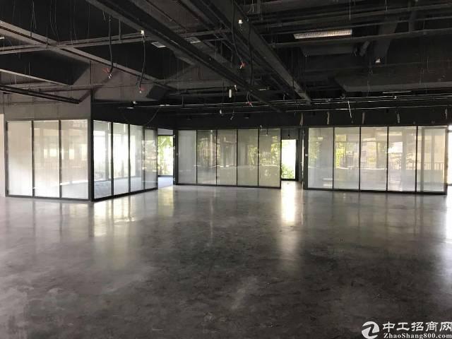 泰桦梧桐岛原生态花园式办公500平 超长免租期