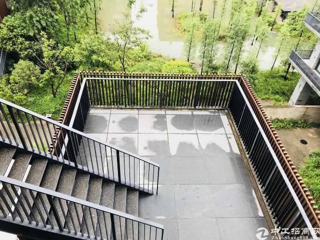 泰桦梧桐岛原生态花园式办公500平 超长免租期