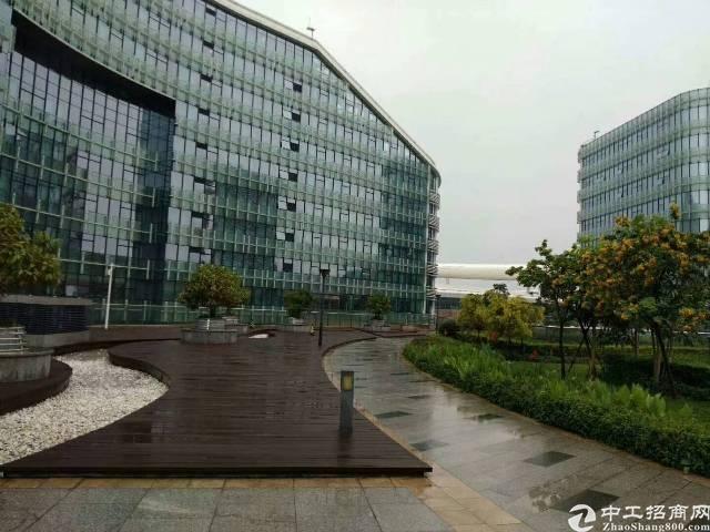 (出租)宝安机场,地铁飞机无缝对接,可享受政府扶持及补助!