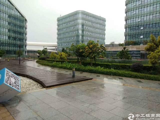 (出租)宝安机场,地铁飞机无缝对接,可享受政府扶持及补助!