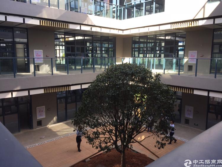 深圳东莞开发商写字楼厂房出售可分割分层或整栋独立红本50年产