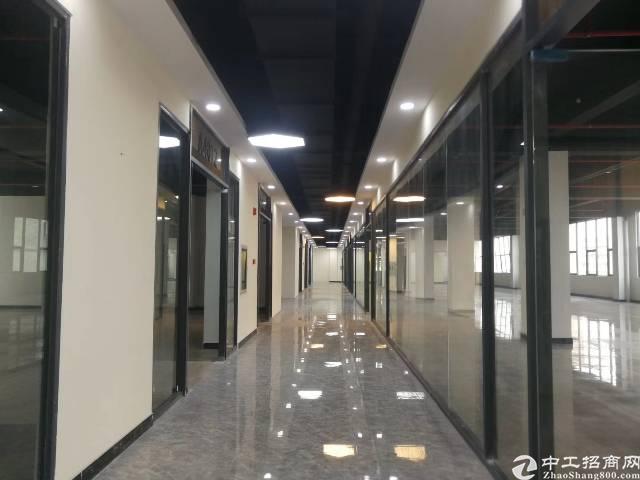 布吉丹竹头地铁站附近新出带装修8000平写字楼出租可分租