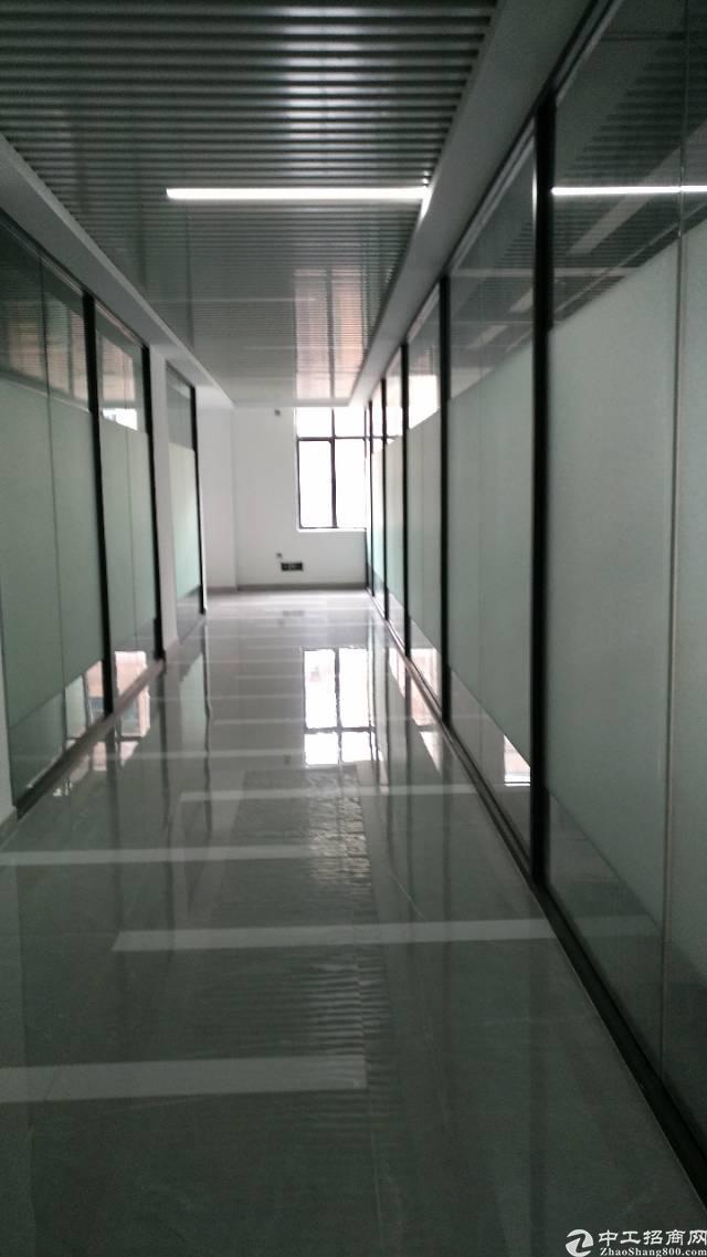 龙岗南联爱南路旁大型商务大厦写字楼5200平招租