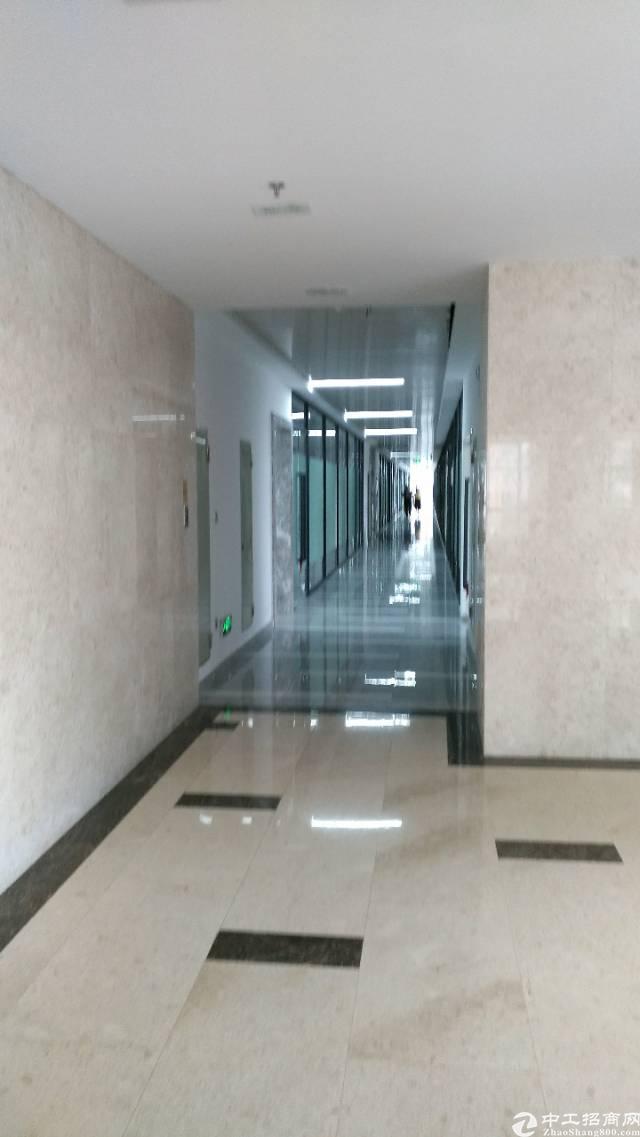 龙岗南联爱南路旁大型商务大厦写字楼5200平招租