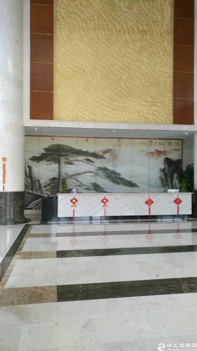 龙岗南联爱南路旁大型商务大厦写字楼5200平招租