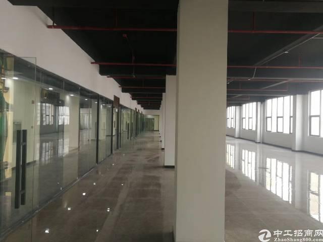 布吉丹竹头地铁站附近新出带装修8000平写字楼出租可分租