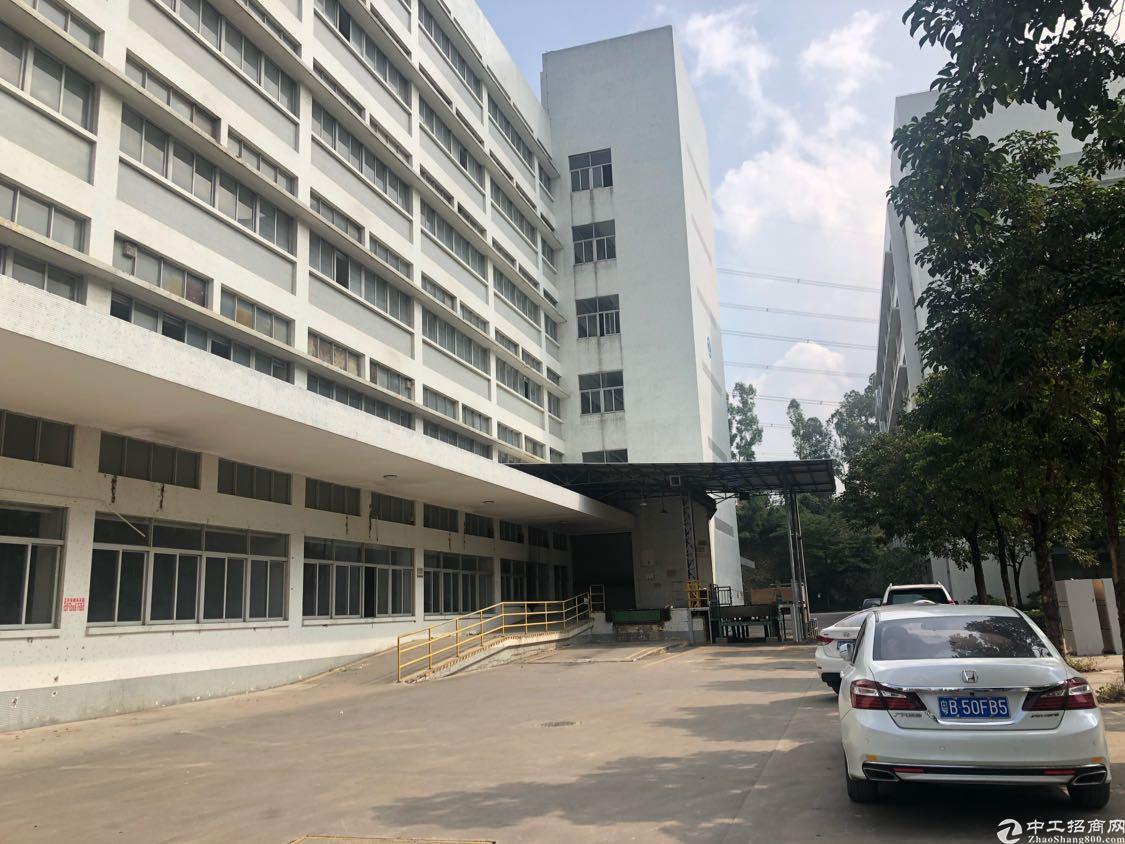 深圳石岩明天可以上班吗「深圳石岩有多少阳了」