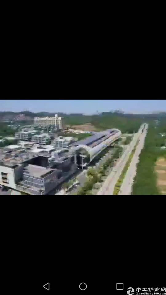 全东莞唯一森林里四合院写字楼出售,投资自用两相宜