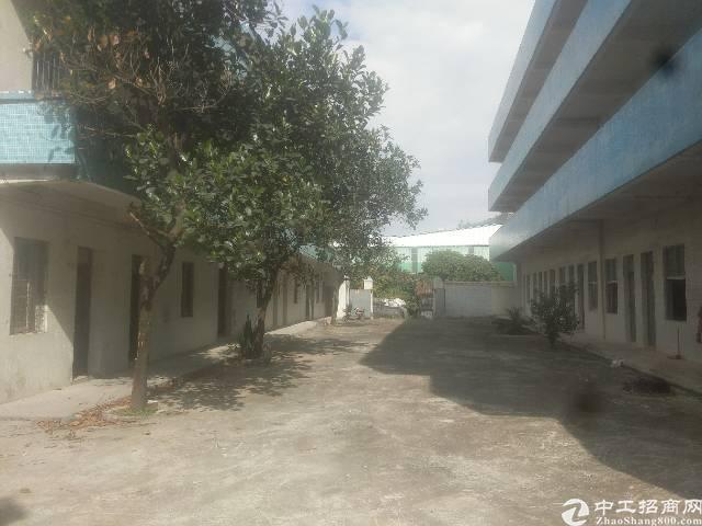 大朗经典独院厂房出租 大朗经典独院厂房出租