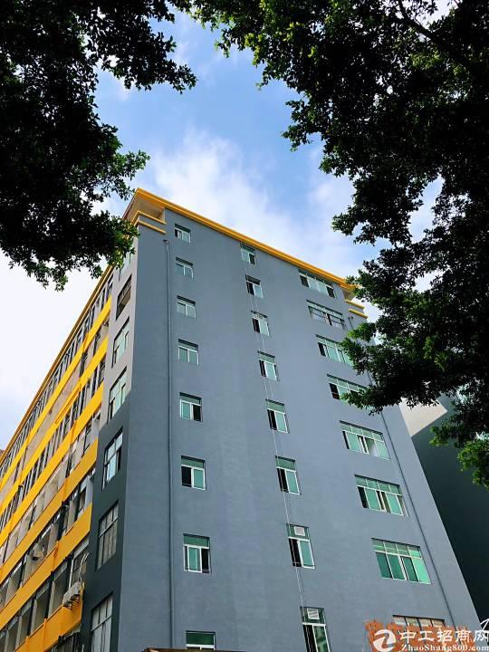 2180元小面积租户福音,西乡翻身地铁口200米