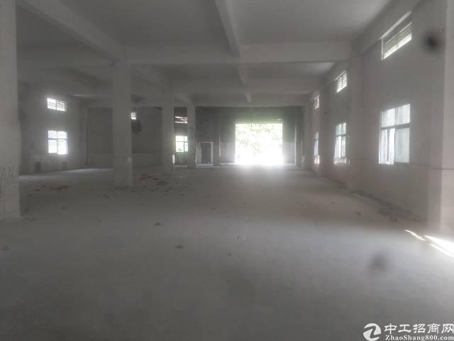 大朗经典独院厂房出租 大朗经典独院厂房出租
