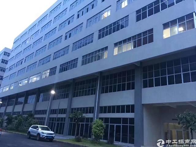 龙华清湖地铁口附近精装修拎包入住办公200起分租