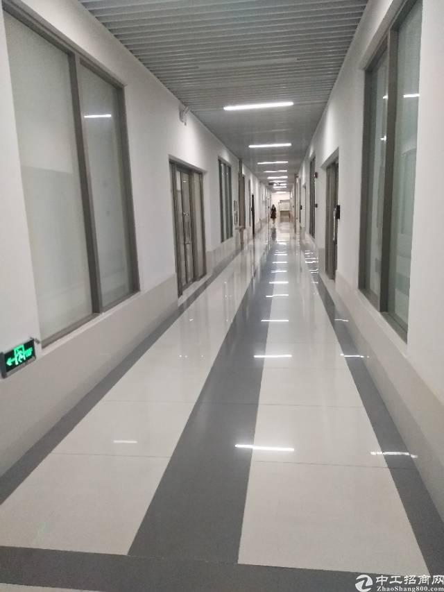 南山西丽茶光地铁口3.5万平豪华精装修写字楼出租