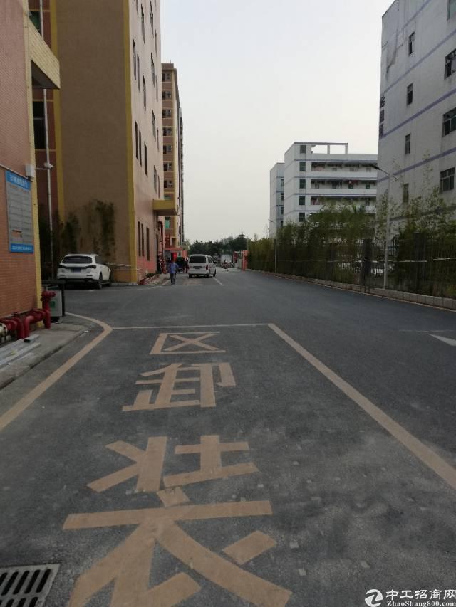 福永和平新出楼上精装办公室200平 带货梯,环境干净
