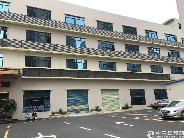 松岗地铁口新出精装修1200平方米招租