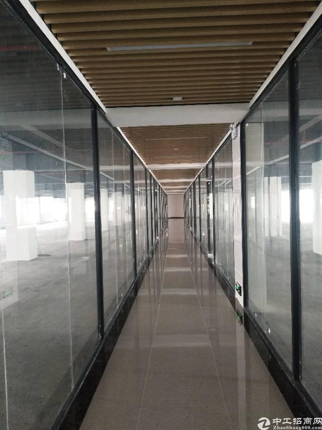 南山西丽大园工业区2000平豪华精装修写字楼招租大小可分