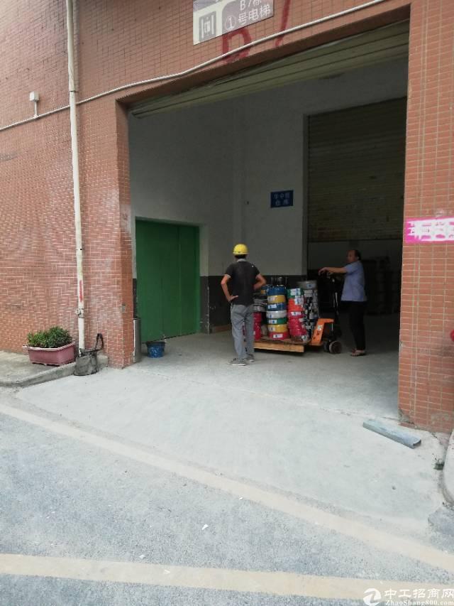 福永和平新出楼上精装办公室200平 带货梯,环境干净
