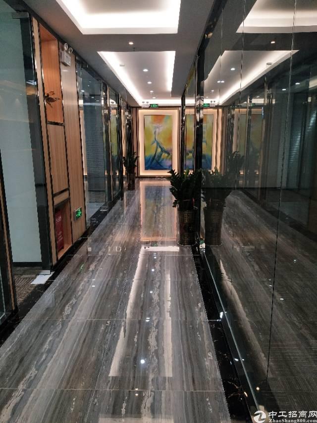 南山西丽创客小镇2000平写字楼招租大小可分