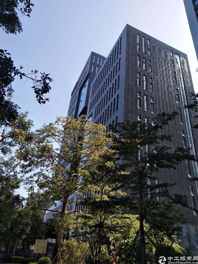 南山西丽大园工业区2000平豪华精装修写字楼招租大小可分