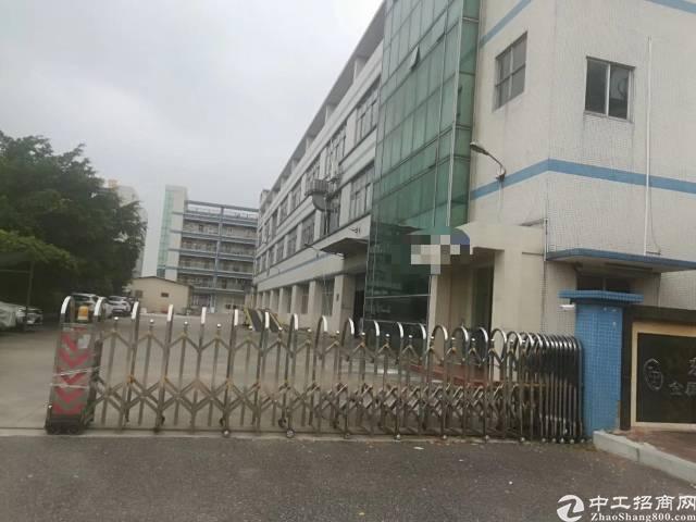 【横沥厂房出租】原房东花园式标准独院楼房带