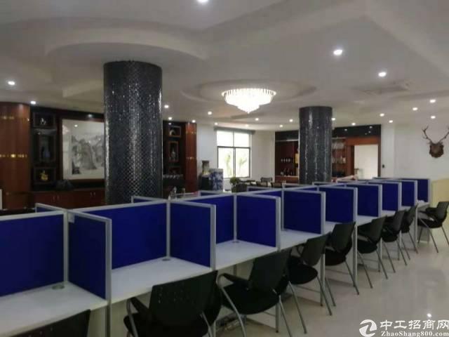 龙岗新生精装修写字楼520平无转让费招租