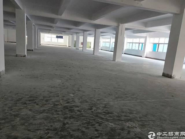 西丽留仙洞地铁口4800平米写字楼招租定制装修