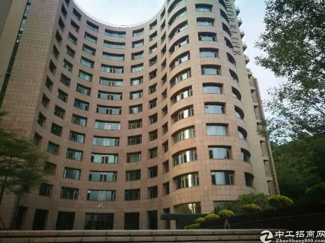 龙华大浪新百丽甲级写字楼出租118平起分