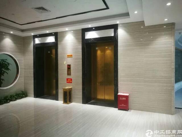 龙华大浪新百丽甲级写字楼出租118平起分