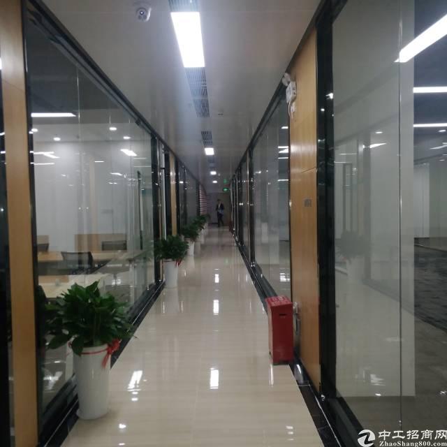 宝安兴东地口新出160㎡写字楼出租