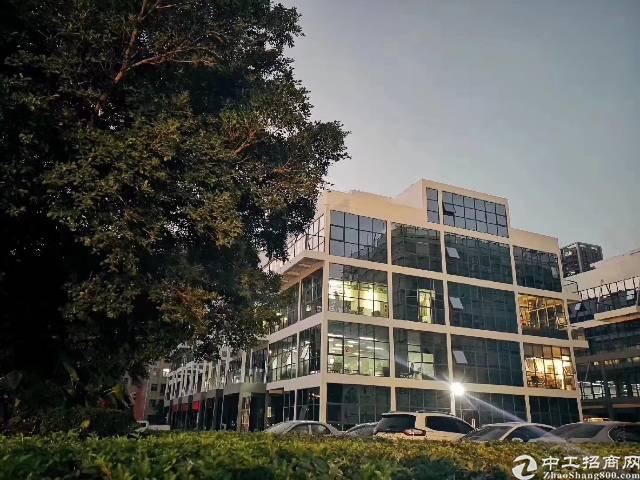 龙华有政府补贴的写字楼招租