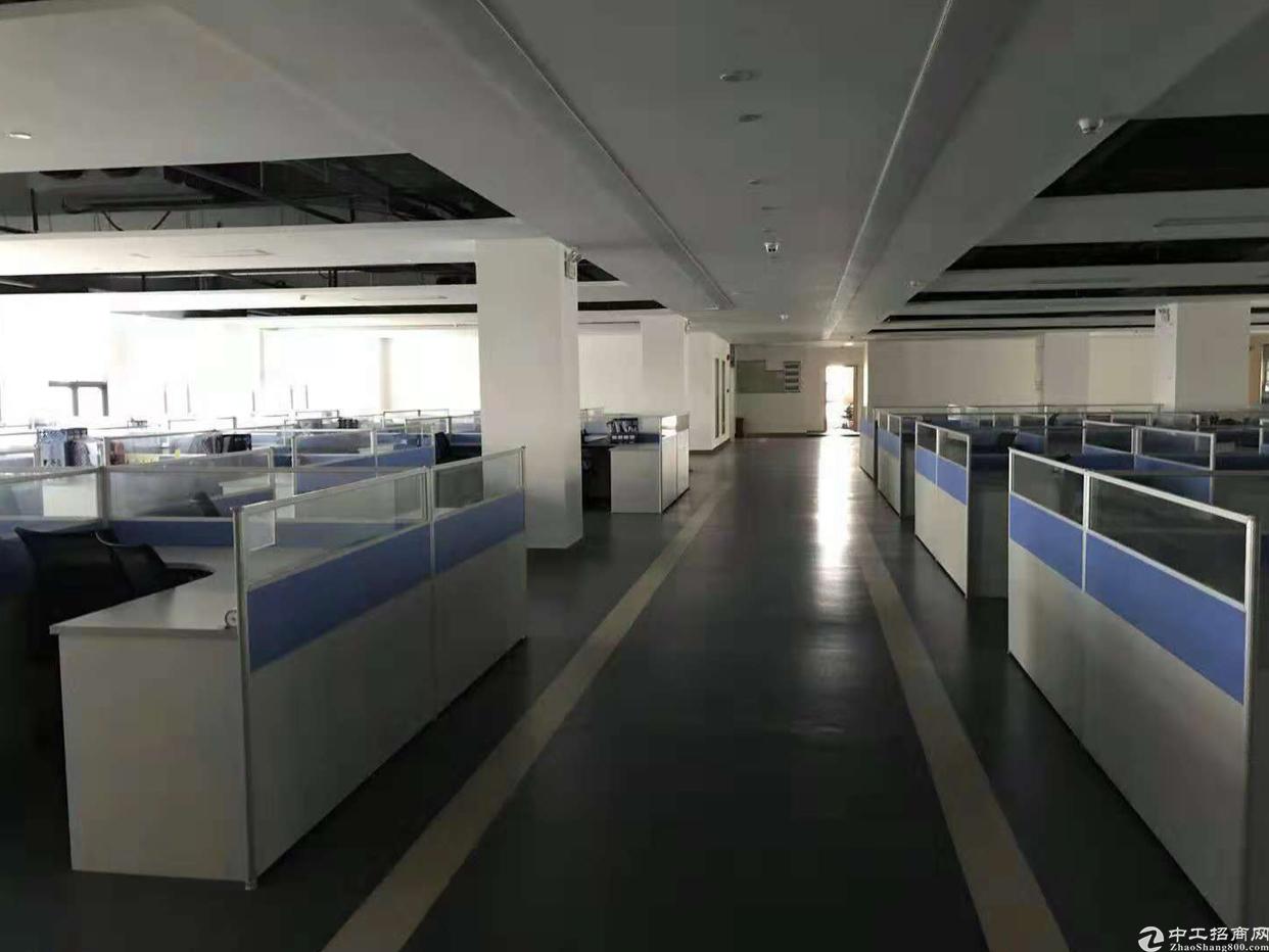 坪山坑梓办公室出租