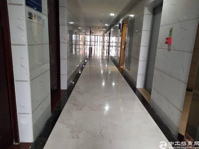西丽天虹带精装修写字楼80平招租