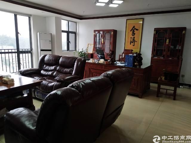 西丽天虹带精装修写字楼80平招租