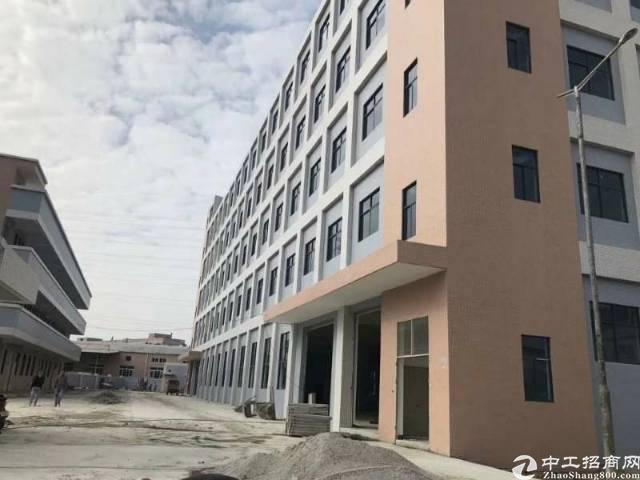 黄江新出全新标准厂房 黄江新出全新标准厂房