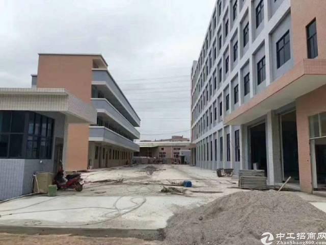 黄江新出全新标准厂房 黄江新出全新标准厂房