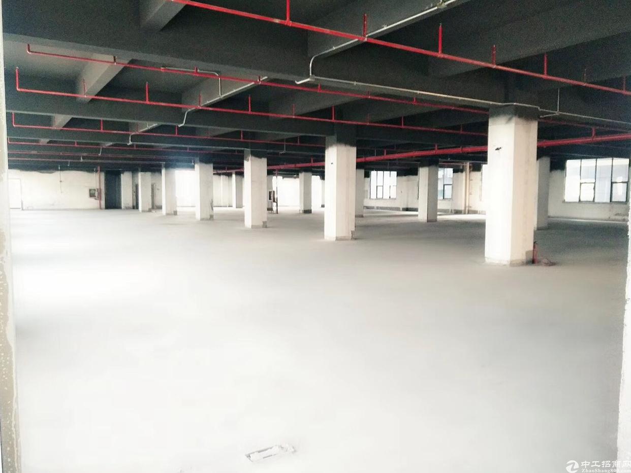 布吉丹竹头地铁站附近全新电商园