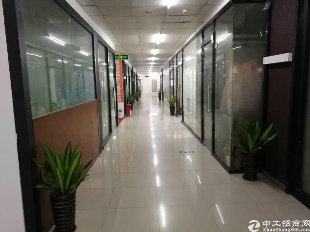 坂田布龙路让独院写字楼出租