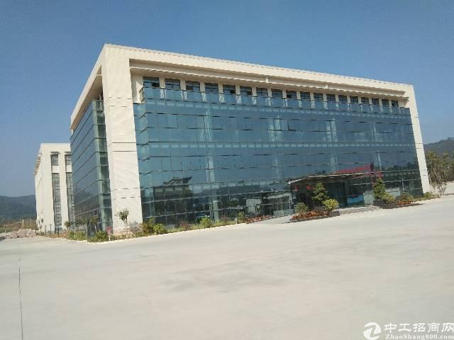 独门独院全新红本厂房招租玻璃幕墙形象好空地大