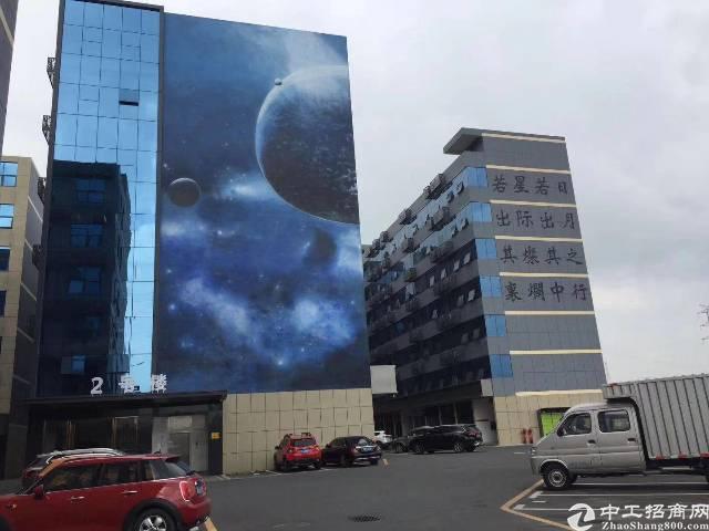 布吉丹竹头地铁站新出一楼385平铺面出租