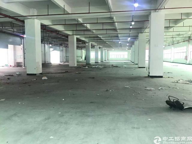横岗全新升级8万平高新产业园高新厂业优惠多多距高速3公里左右
