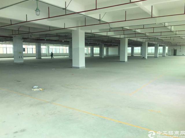 横岗全新升级8万平高新产业园高新厂业优惠多多距高速3公里左右