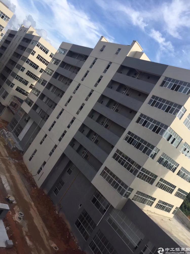 深圳东莞开发商写字楼厂房出售可分割分层或整栋独立红本50年产