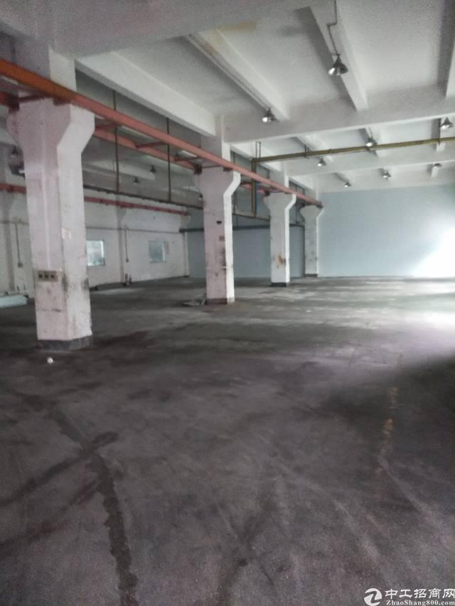 【横沥厂房出租】横沥新出原房东独院楼房14