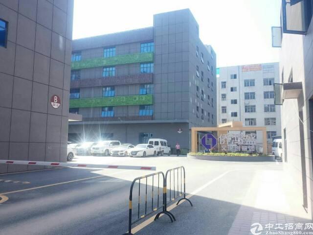 西乡银田工业区写字楼88-4380平招租
