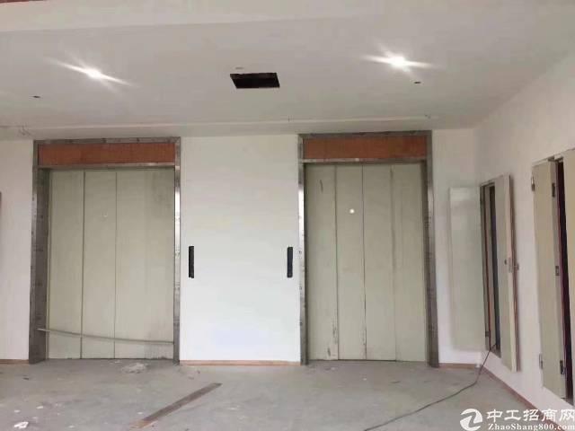 松山湖高端独立红本