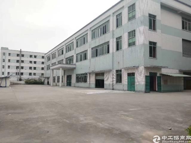 【横沥厂房出租】横沥新出原房东独院楼房14